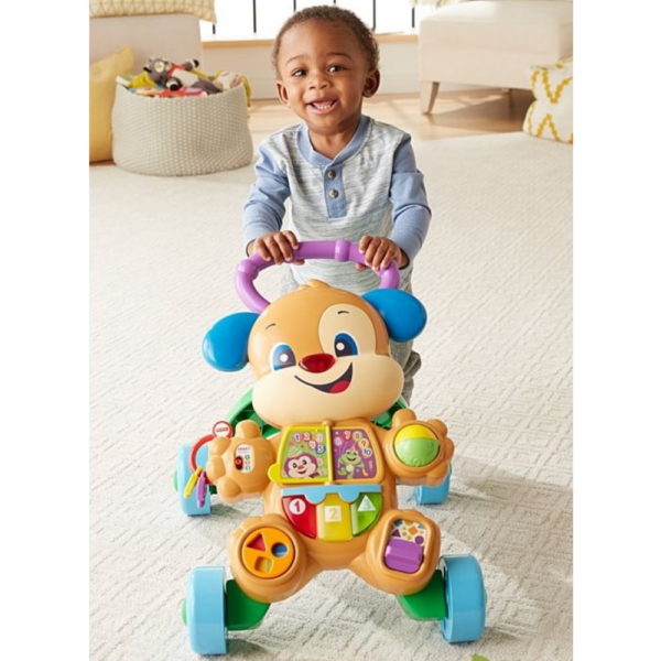 Fisher-Price járássegítő Tanuló kutyusos FTN19