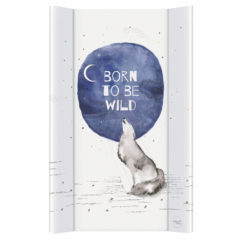 born-to-be-wild