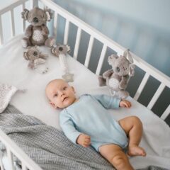 BabyOno csörgő Koala Coco koala plüss