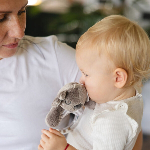 BabyOno marokcsörgő Koala Coco koala