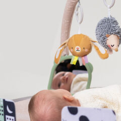 Taf Toys játszószőnyeg játékhíddal Tummy-time activity gym