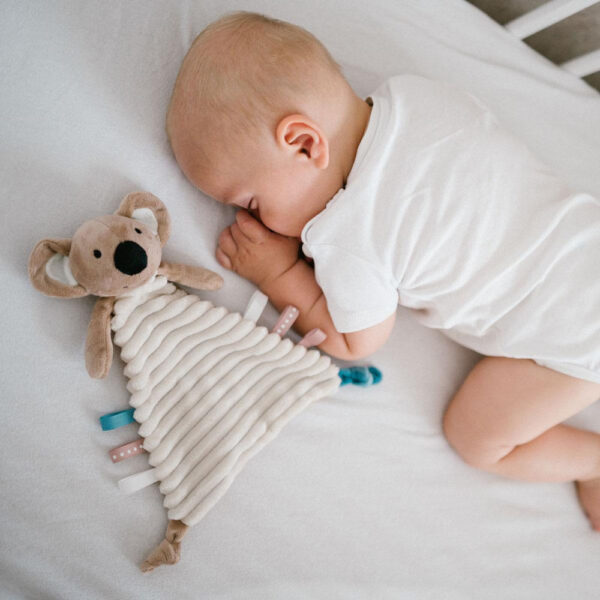 BabyOno szundikendő Charlie koala plüss