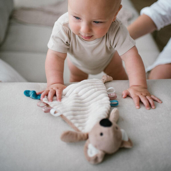 BabyOno szundikendő Charlie koala plüss